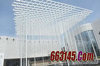 ���Ŵ���˽��2013