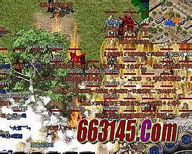 2016������ʧ����