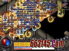 ������������vip���