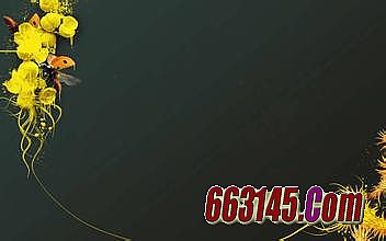 ��Ѫ����ʮ������ͻ���