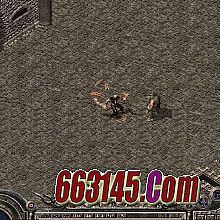 170复古传奇金币版
