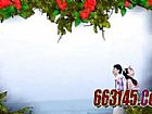 ��ʧ�ǿմ���,��������������������ô��